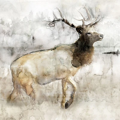 Mountain Elk I by Stellar Design Studio - Item # VARPDXTV113A