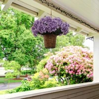 2-Pack: Lavender Hydrangea Bush by Floral Home®