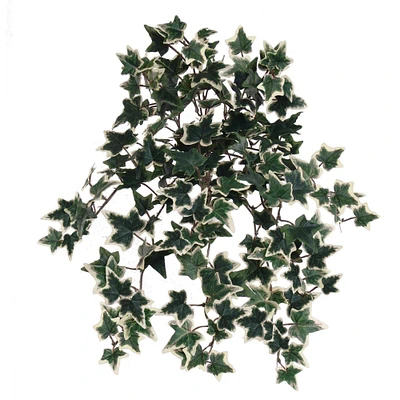 Mini Green & White English Ivy Bush by Floral Home®