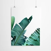 Banana Leaf by Tanya Shumkina  Poster Art Print - Americanflat