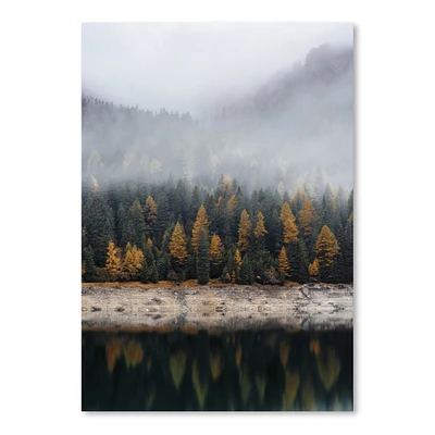 Fall Forest by Tanya Shumkina  Poster Art Print - Americanflat