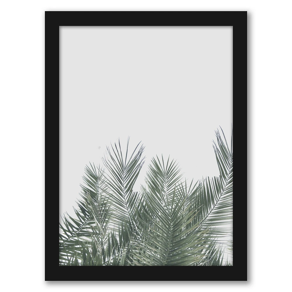 Tropical Palm Leaf Poster by Tanya Shumkina Frame  - Americanflat