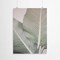 Tropical Plant Leaf by Tanya Shumkina  Poster Art Print - Americanflat