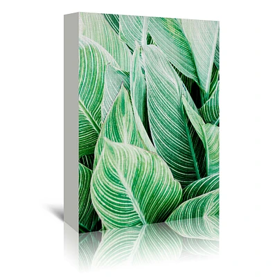 Tropica lLeaves by LILA + LOLA Gallery Wrapped Canvas