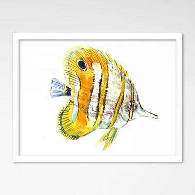 Coral Fish Angelfish Suren by Suren Nersisyan Framed Print