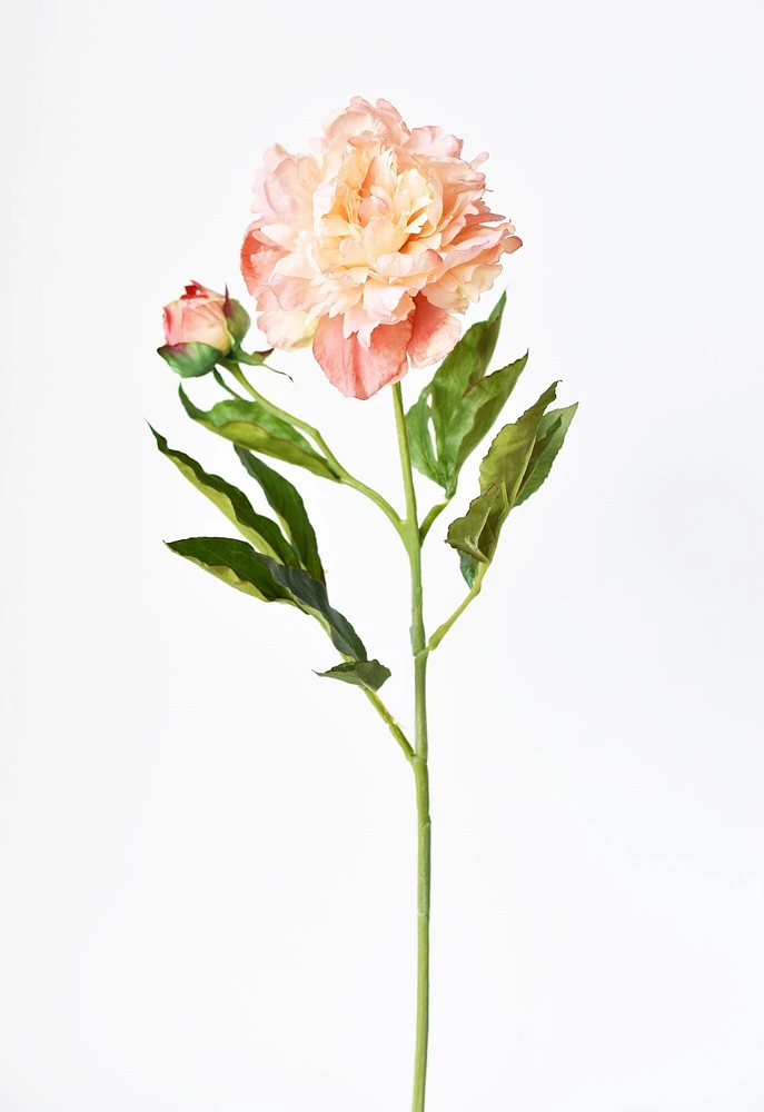 28" Faux Peach Peony Stem