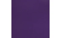 PA Paper Accents Stash Builder Cardstock 12" x 12" Purple Majesty, 65lb colored cardstock paper for card making, scrapbooking, printing, quilling and crafts, 1000 piece pack