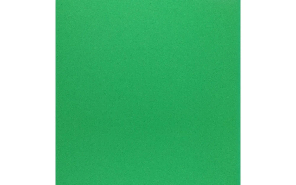 PA Paper Accents Smooth Cardstock 12" x 12" Green Grass, 65lb colored cardstock paper for card making, scrapbooking, printing, quilling and crafts, 1000 piece box