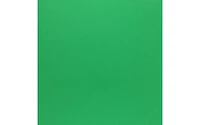 PA Paper Accents Smooth Cardstock 12" x 12" Green Grass, 65lb colored cardstock paper for card making, scrapbooking, printing, quilling and crafts, 1000 piece box