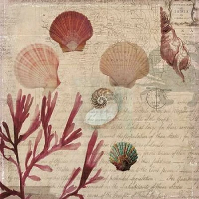Coral II Poster Print by Aimee Wilson