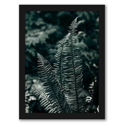 Green Ferns by Torrey Merritt Frame  - Americanflat