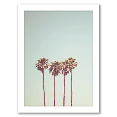 Beach Palm Photo by Tanya Shumkina Frame