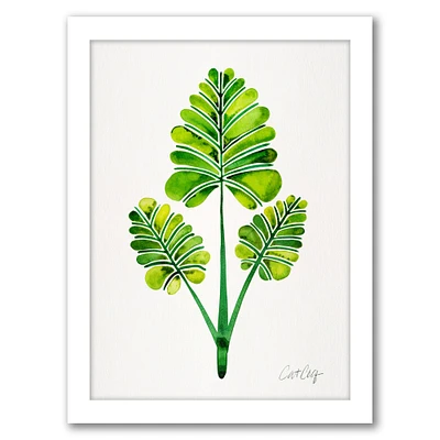Palm Leaf Trifecta by Cat Coquillette Frame  - Americanflat