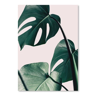 Monstera Pink by Nuada  Poster Art Print - Americanflat