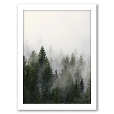 Misty Forest by Tanya Shumkina Frame  - Americanflat