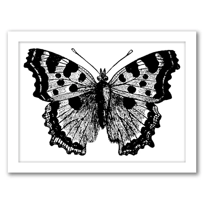 Butterfly 1 Black by Amy Brinkman Frame  - Americanflat