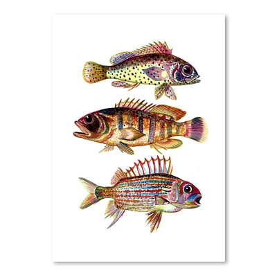 Three Fish Red by T.J. Heiser  Poster Art Print - Americanflat