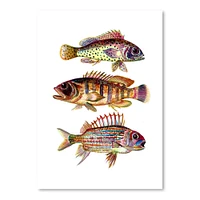 Three Fish Red by T.J. Heiser  Poster Art Print - Americanflat