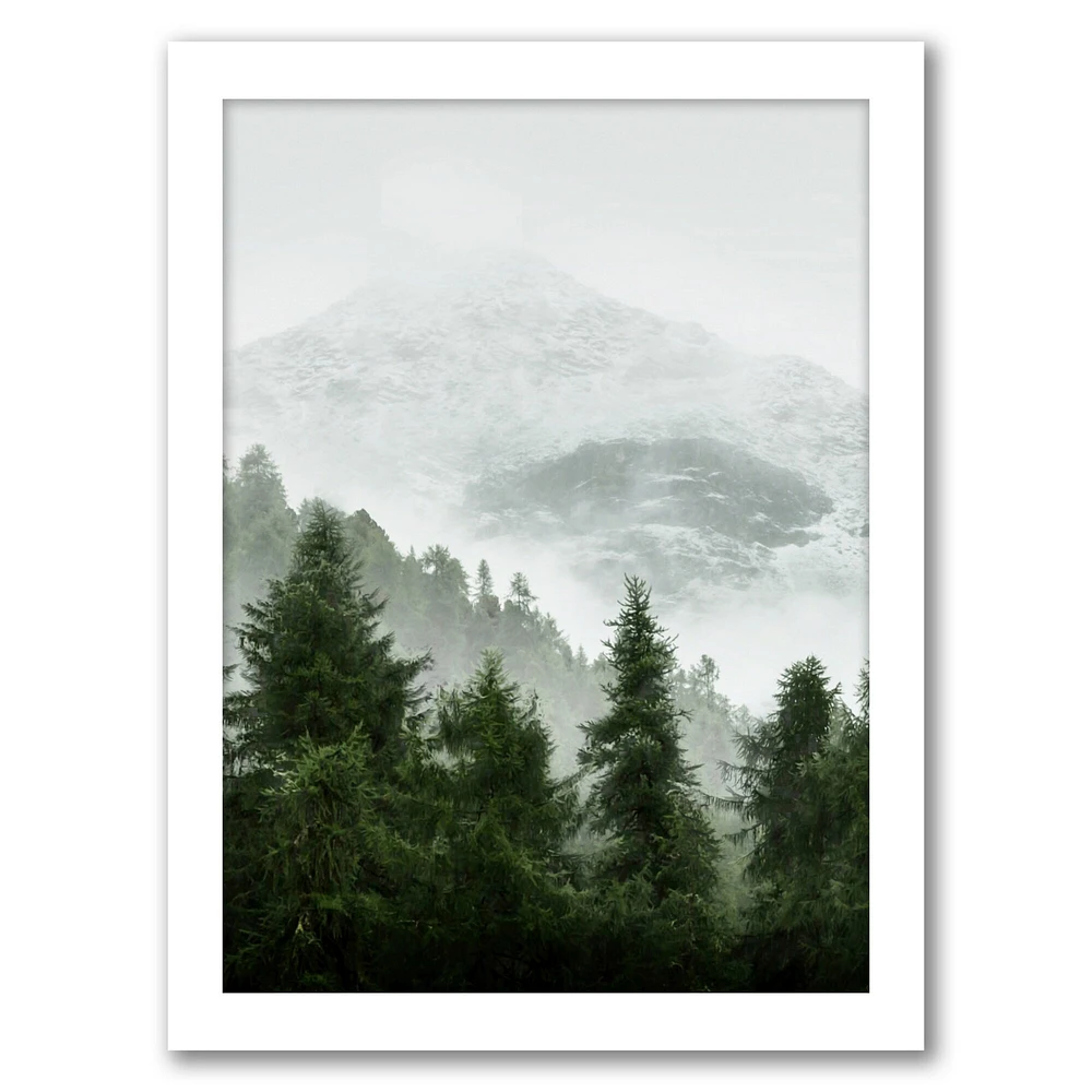 Foggy Nature Photography by Tanya Shumkina Frame  - Americanflat