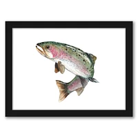 Rainbow Trout by Cami Monet Frame  - Americanflat