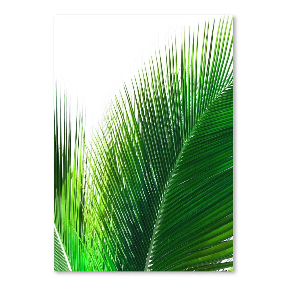 Single Palm Leaf by Tanya Shumkina  Poster Art Print - Americanflat