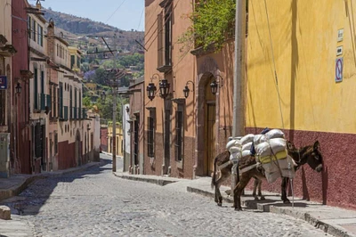 Mexico Two laden donkeys on sidewalk by Don Paulson - Item # VARPDXSA13BJY0038