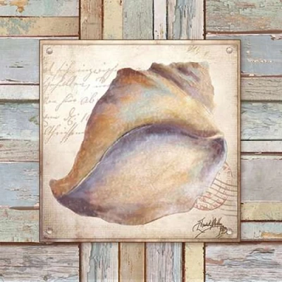 Beach Shell II Poster Print by Elizabeth Medley - Item # VARPDX9340