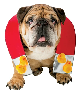 The Costume Center Red and Yellow Zelda Chick Halloween Pet Costume - Small