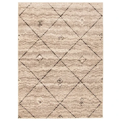 Chaudhary Living 4' x 5.5' Gray and Brown Moroccan Diamond Rectangular Area Throw Rug