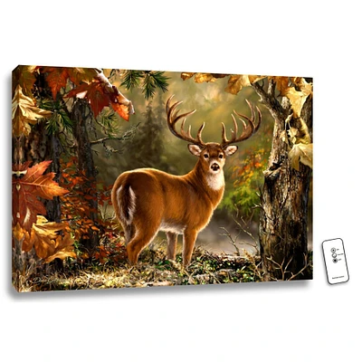 Glow Decor 18" x 24" Green and Brown Whitetail Backlit LED Wall Art with Remote Control