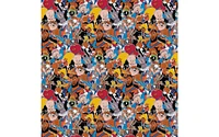 Space Jam Cotton Precut 2yd Slticker Stack