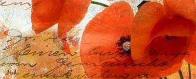 Poppies Composition III Poster Print by Patricia Pinto - Item # VARPDX7092