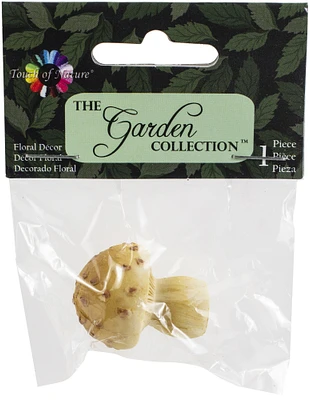 Touch Of Nature Miniature Mushroom 1"-Assorted