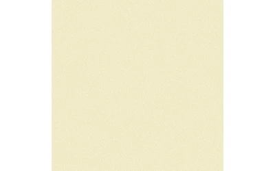 Paper Pearlized 12x12 80lb 25pcPk Cornsilk UPC