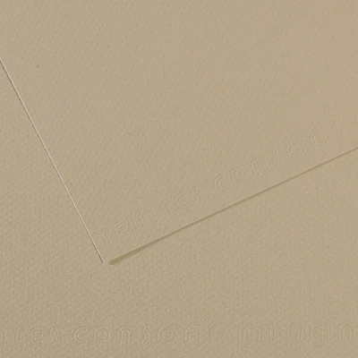 Canson Mi-Teintes Drawing Papers - 8-1/2" x 11", Pearl, 25 Sheets