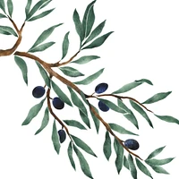 Olive Tree Branch Wall Stencil | 3031 by Designer Stencils | Floral Stencils | Reusable Art Craft Stencils for Painting on Walls, Canvas, Wood | Reusable Plastic Paint Stencil for Home Makeover | Easy to Use & Clean Art Stencil