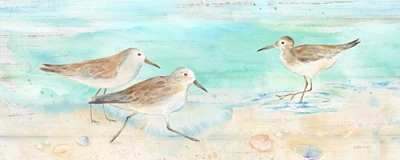 Sandpiper Beach Panel Poster Print by Cynthia Coulter - Item # VARPDXRB11887CC