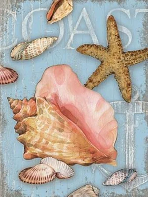 Beach Shells Coast Poster Print by Julie Paton - Item # VARPDXPAT121