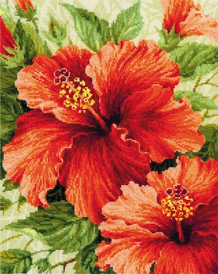 RIOLIS Counted Cross Stitch Kit 15.75"X19.75"-Hibiscus (10 Count)