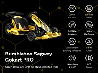 Segway Gokart Pro BumbleBee