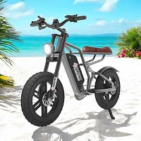 E-Bike XTREME