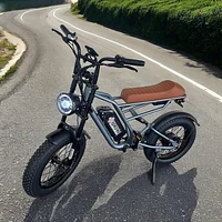 E-Bike XTREME