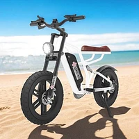 E-Bike XTREME