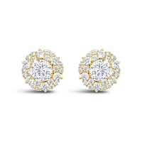 Yellow Gold Plated Sterling Silver  Round Cubic Zirconia Earrings 155047