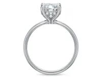 Desiree Solitaire Engagement Ring Setting