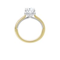 Solitaire Halo Gallery Engagement Ring Setting