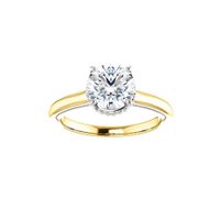 Solitaire Halo Gallery Engagement Ring Setting