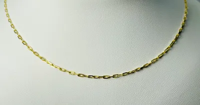 10kt Gold Paper Clip Chain (Small)