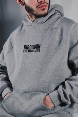 Birdbrain Apparel “Middle Chest” Sweatshirt (Grey)