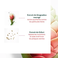 Rene Furterer - Neopur - Coffret des Fêtes 2024